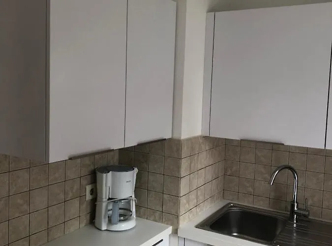 דירה Palais Des Domes ניס